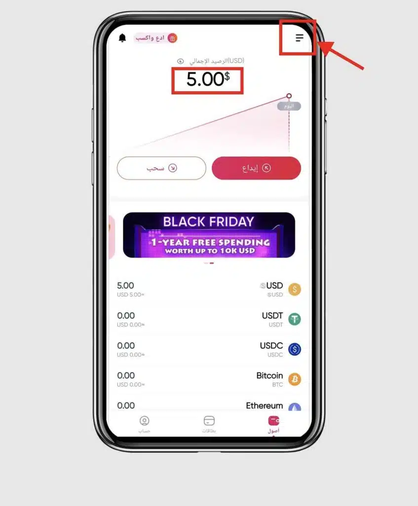 تم الحصول علي فيزا افتراضية مشحونة 5 دولار