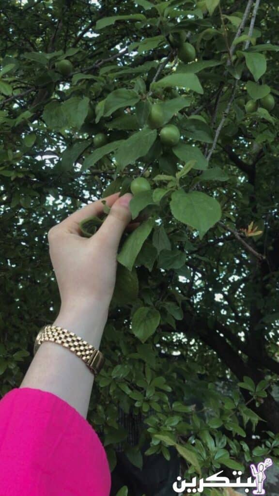 اجمل رمزيات خلفيات واتس اب بنات كيوت