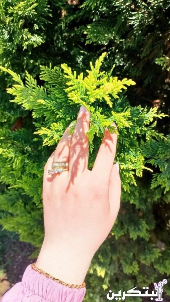 اجمل رمزيات خلفيات واتس اب بنات كيوت