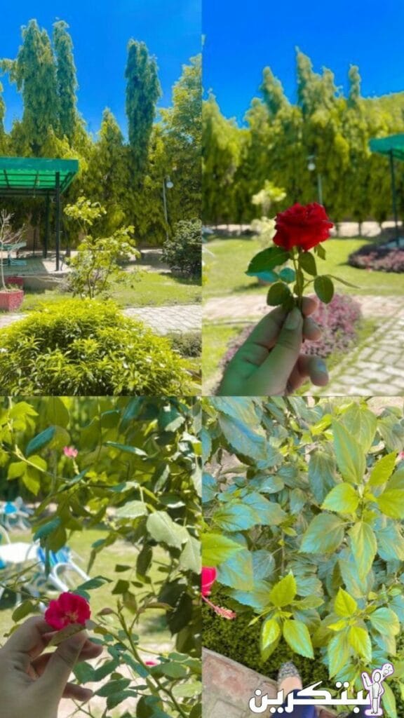 اجمل رمزيات خلفيات واتس اب بنات كيوت