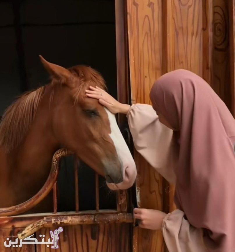 ستوريات بنات محجبات