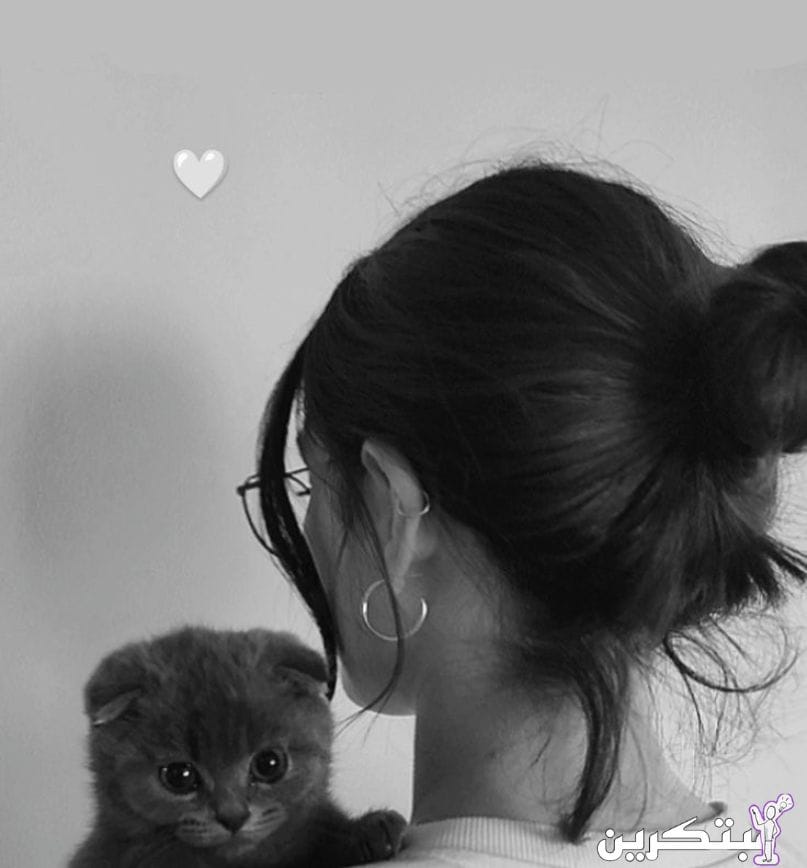 ستوريات بنات محجبات