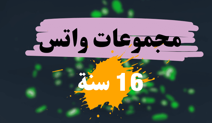 مجموعات واتس 16 سنة