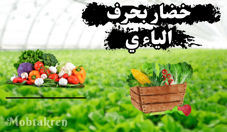 خضار بحرف الياء ي