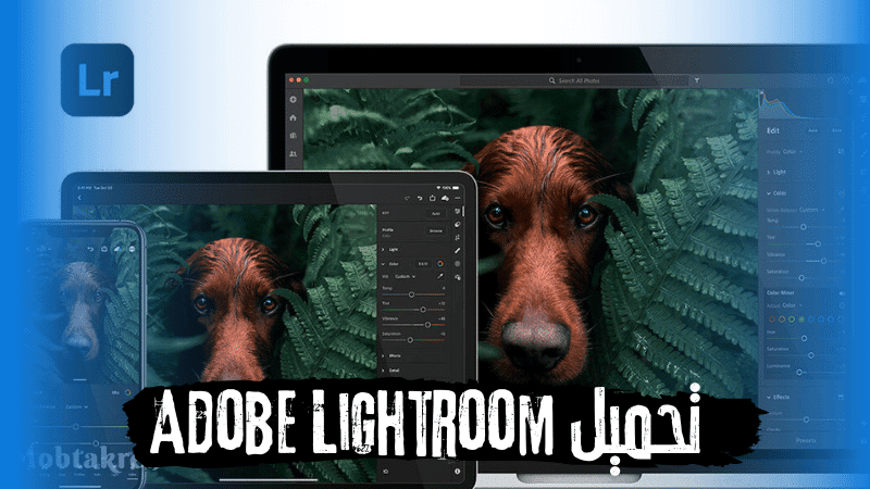 تحميل Adobe Lightroom اخر اصدار رابط مباشر للكمبيوتر 1 تحميل Adobe Lightroom اخر اصدار رابط مباشر